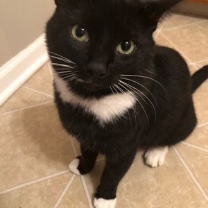 Meet your Posher, Maria